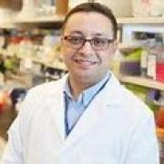‘’Conception rationnelle des immunothérapies et des thérapies ciblées dans le cancer’’ ‘’Conception rationnelle des immunothérapies et des thérapies ciblées dans le cancer’’